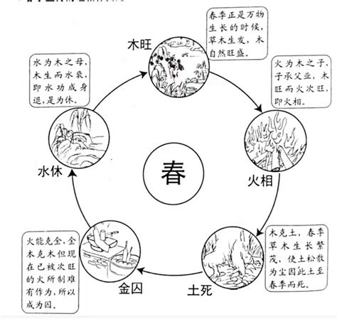 死 榆五行